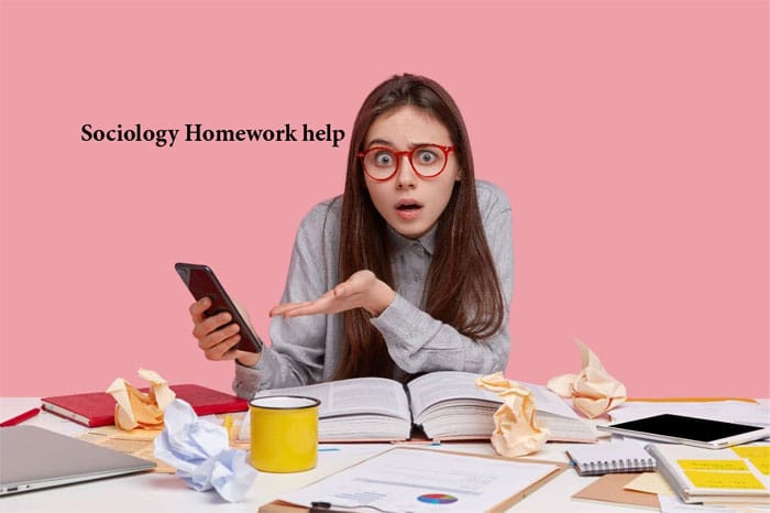 Sociology Homework Help Online