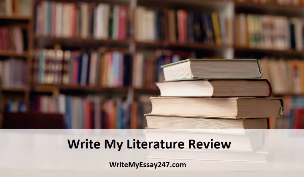 write my literature review for me